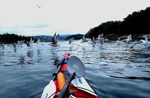 2- hour kayak trip on the Oslo Fjord