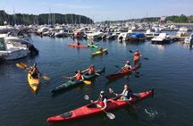 3- Hour Kayak Tour on the Oslofjord
