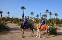 Camel Ride Experience Around Marrakech