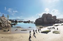 10 Day Cape & Garden Route Tour Combo with add-on accommodation