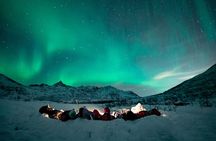 Tromsø: Aurora Hunt with Citizen Science with Wandering Owl