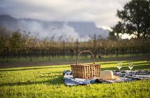 Cape Winelands Explore Full Day Tour with Private Transfer
