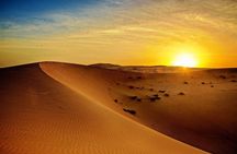 Sunrise Desert Safari from Abu Dhabi 