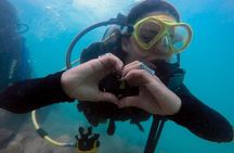 Private Program for Accredited Diver in Búzios