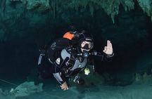 Tulum cenote diving. The real mayan underworld