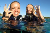 Akumal Turtles, Snorkel Tour from Cancun or Riviera Maya