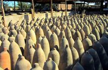 Ballestas Islands, Winery & Nazca Lines Express Tour from Lima