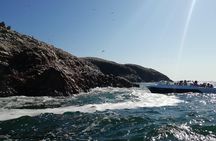 Lima: Ballestas Islands, Paracas Reserve & Nazca Lines Tour