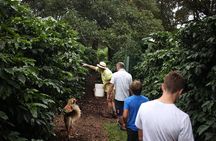 Small, Hands-on Coffee Tour 