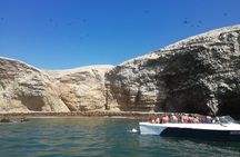 Lima: Ballestas Islands, Winery & Huacachina Oasis Private Tour