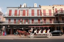 New Orleans City Sightseeing Hop-On Hop-Off Bus Tour