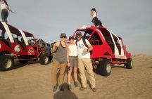 Lima: Ballestas Islands, Winery & Huacachina Oasis Private Tour