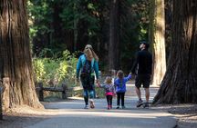 Yosemite Highlights & Giant Sequoias Day Tour from San Francisco