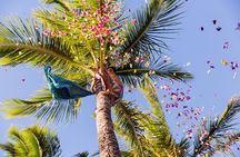 Paradise Cove Luau