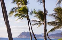 Paradise Cove Luau