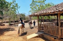 Pura Vida in Papagayo - WRCT Adventures Private Horseback Ride 