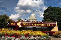 Big Bus DC: Hop-On Hop-Off Sightseeing Tour with 17 Stops