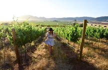 Wine tour valley of guadalupe