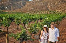 Wine tour valley of guadalupe