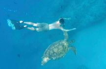 Private Snorkeling and Wildlife on The Adventure Boat