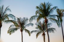 Darwin City Sightseeing Tour