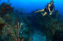 PADI Discover Scuba Diving and Day Pass in Freeport