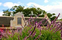 Helderberg Valley Winelands Day Tour with Private Transfer