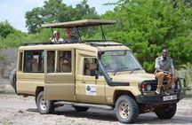 Selous Game Reserve Road Trip- Boat Safari, Game Drive And Walk Safari