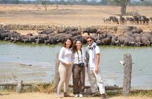 Three days Mikumi National Park, game drive and walking safari inside the park