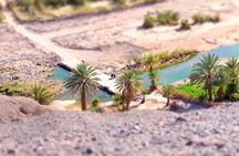 Day trip to visit Ouarzazate