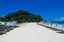 Koh Tao and Koh Nang Yuan Snorkel Tour (Speedboat from Koh Samui)