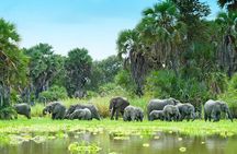 2-Day Nyerere National Park , Boat Safari & Game Drive