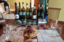 Istrian tapestry - gourmet tour combining wine, truffles and olive oil