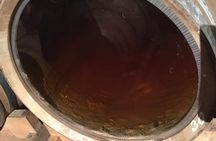 Istrian tapestry - gourmet tour combining wine, truffles and olive oil