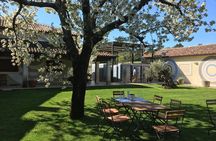 Istrian tapestry - gourmet tour combining wine, truffles and olive oil