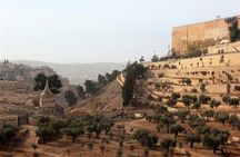 6-Day Tour of Christian Israel