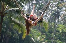 Ubud Cretya Tours and Happy Swing 