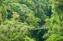 Mistico Hanging Bridges