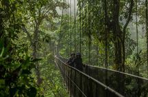 ARENAL DISCOVERY ADVENTURE (3):Hanging Bridges, Waterfall & Lunch