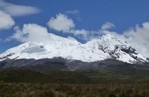 Antisana Volcano Private Tour - Adventure & Condors Watching 