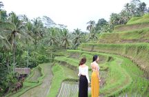 Bali Instagram Most Iconic Spots Private Tour