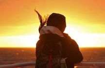 Magical Whales in the Midnight Sun | from Reykjavik