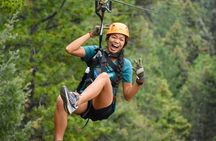 Rocky Mountain 6-Zipline Adventure