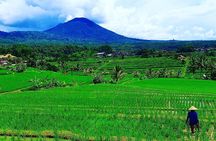 Bali Ancient Temples Tour