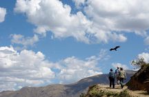 Full Day Condor Viewpoint & Inca Sites Tour - Private Service