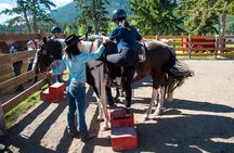 2 Hour Banff Horseback Riding Adventure