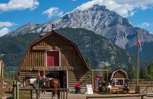 2 Hour Banff Horseback Riding Adventure