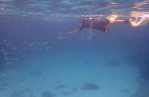 Mallorca: Snorkeling in a Beautiful Nature Reserve