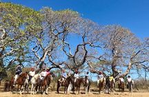 Tour Combo - WRCT Adventures Private Zipline & Horseback Ride