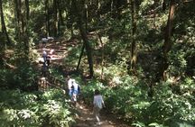 Inthanon Small-Group with Kew Mae Pan Trail from Chiang Mai include Lunch
